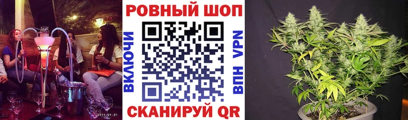 Конопля Аша
