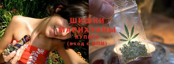 ECSTASY Заводоуковск