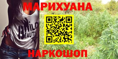 сатива Аргун