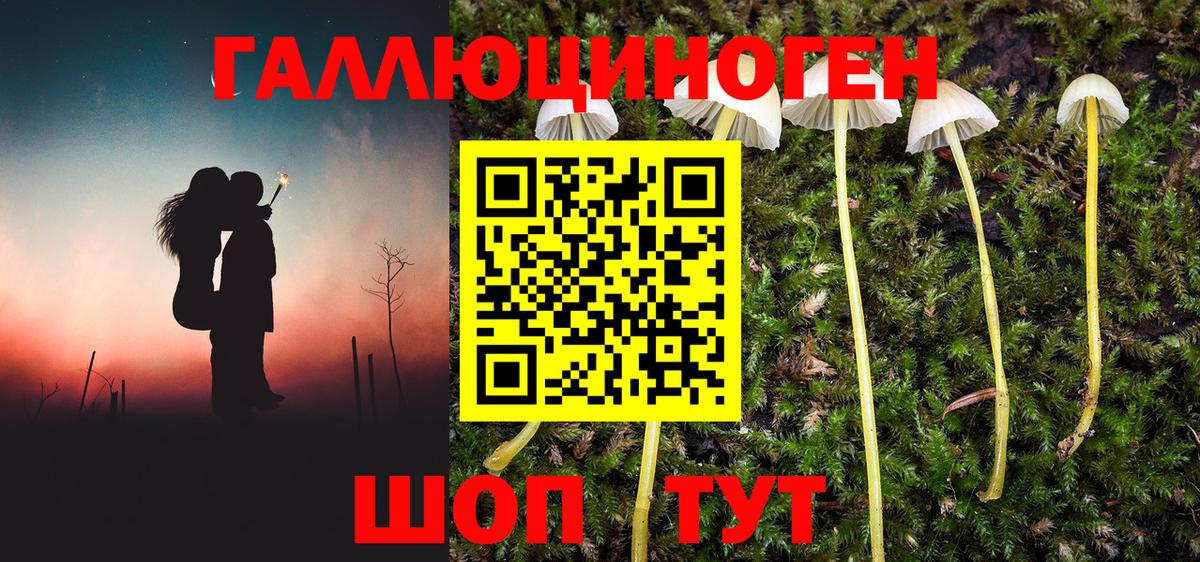 Галлюциногенные грибы ЛСД Аша