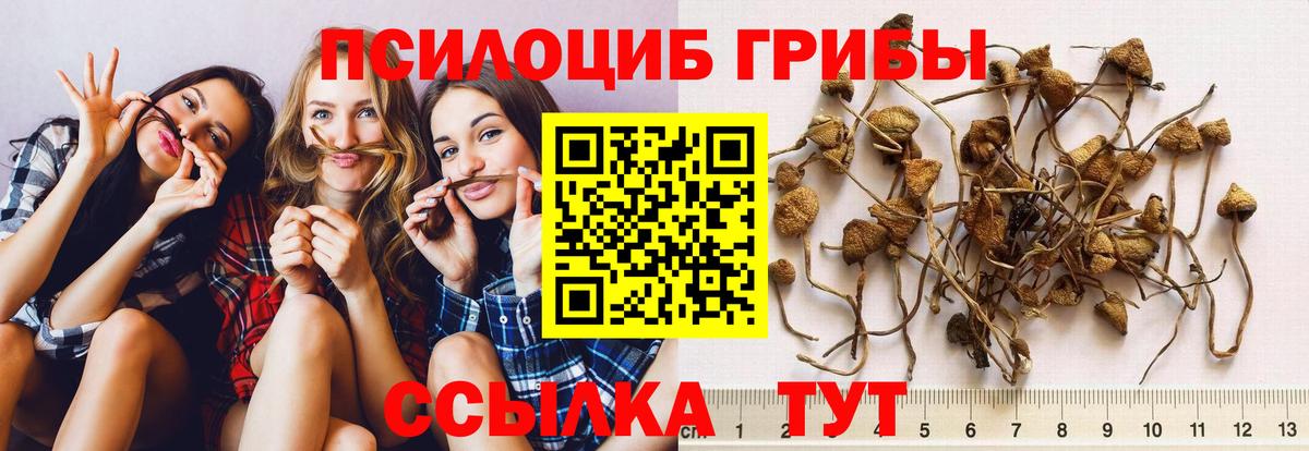 Галлюциногенные грибы прущие грибы  Вход с VPN  наркота  Аша 