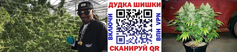 гидра   что такое наркотик  Аша  Шишки марихуана индика 